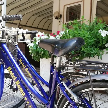 Roma Hotell 3*